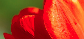 手机攻击器APP下载