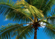 先进且具有开创性的免费ddos网页端